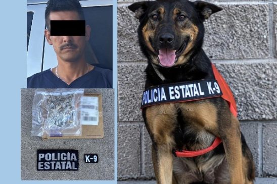 K9