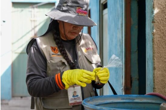 acciones dengue