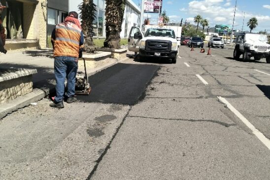 bacheo hmo