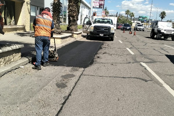 bacheo hmo