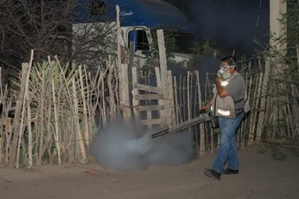 fumigación dengue 2