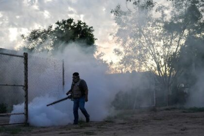 fumigación dengue 3