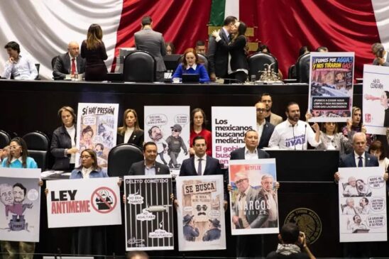 ley antimemes (1)